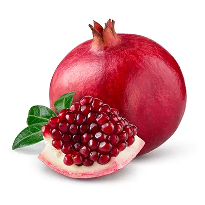 نهال انار گلوب