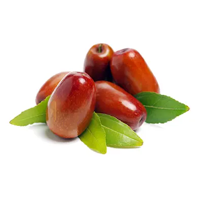 نهال عناب بیرجند