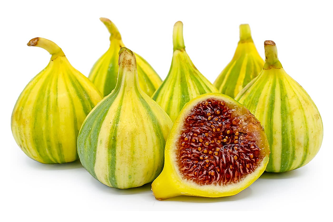 کشت نهال-انجیر-دیم