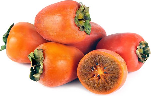 نهال خرمالو ایورکا