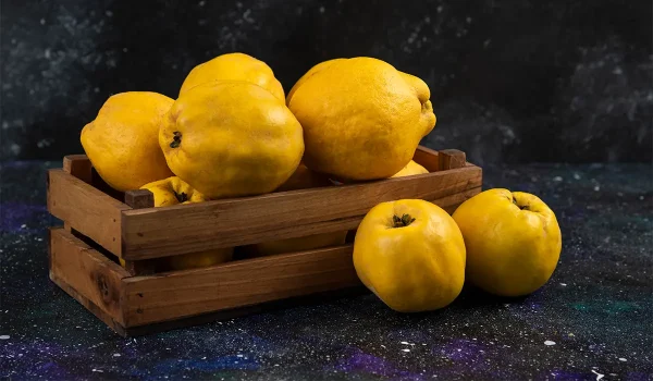 نهال به آمریکایی